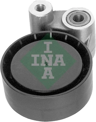 531039110 INA