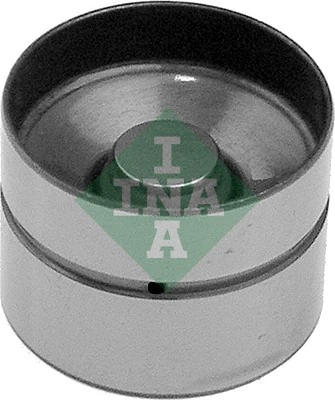 420002210 INA