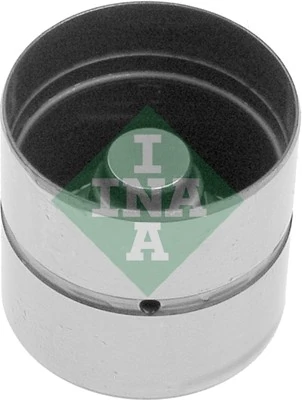 420010610 INA