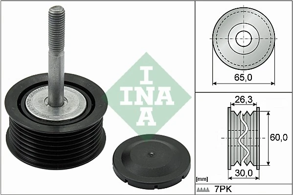 532079310 INA