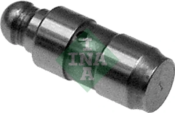 420018110 INA