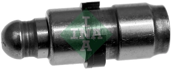420019510 INA