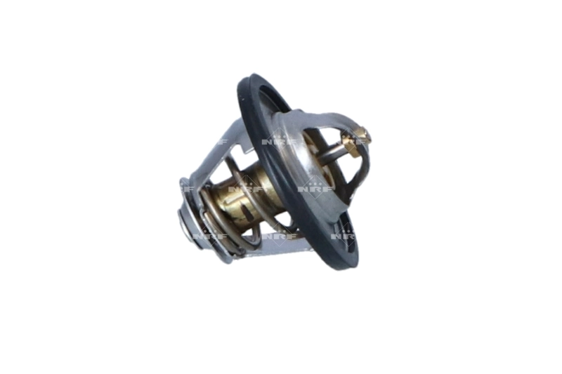 Авто термостат на Renault Master I T