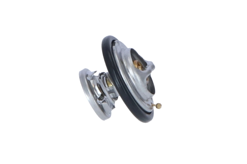 Termostato SsangYong Korando