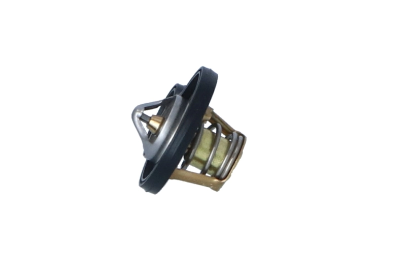 Termostato Chrysler Voyager 3 RG, RS