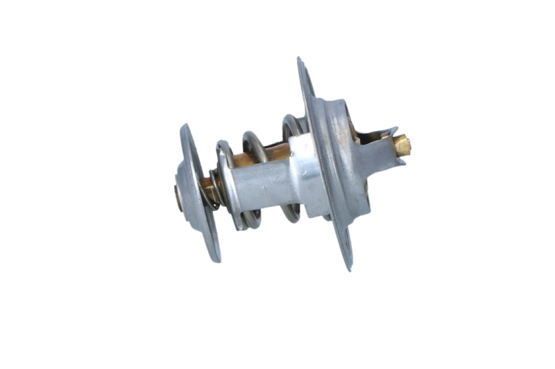 Compre Termostato Seat Ibiza 1