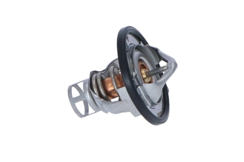 Termostato Nissan Patrol W260