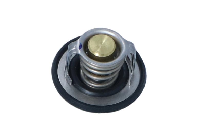 725208 NRF Авто термостат