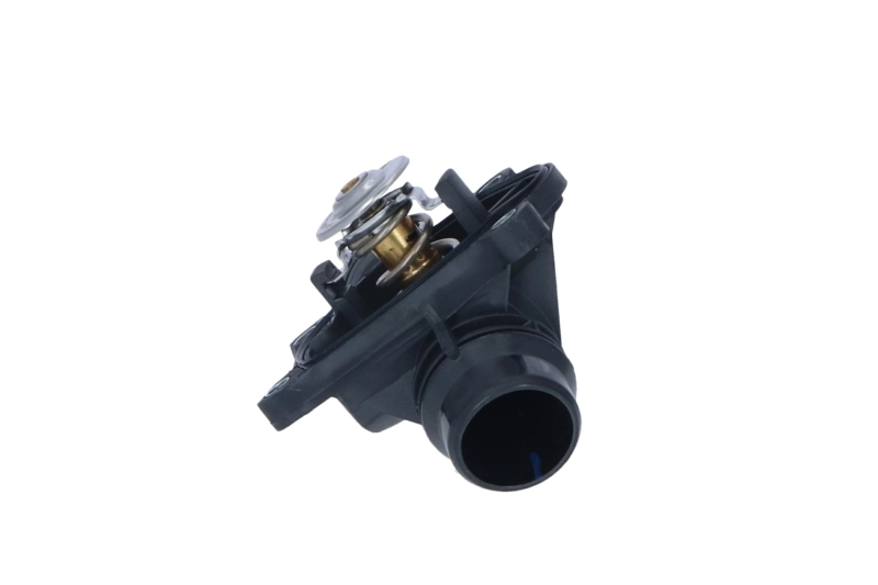 Termostato BMW X3 E83