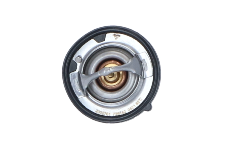 Termostato Nissan Patrol W260