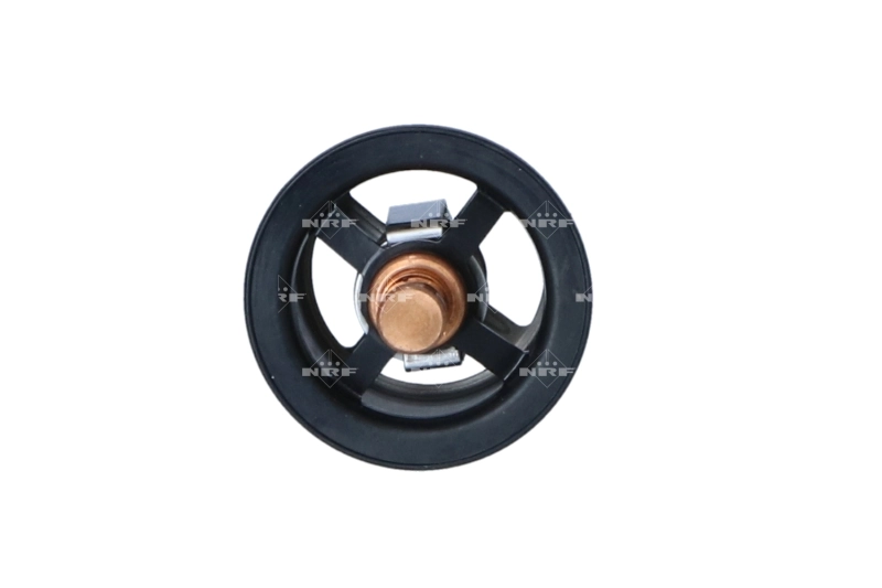 Купить 7403839110 Renault (RVI) Автомобильный термостат