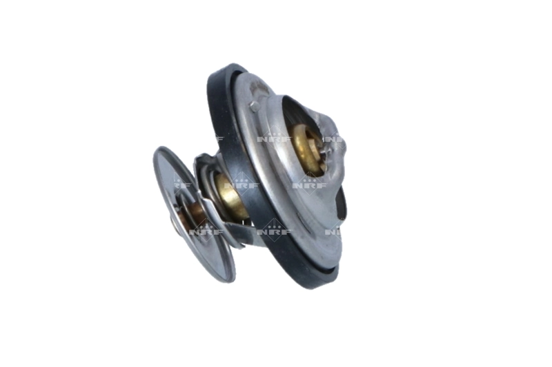 Termostato MAN TGX 1