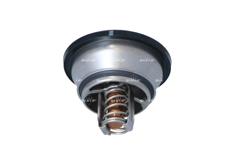 Термостат 7421746213 Renault (RVI)