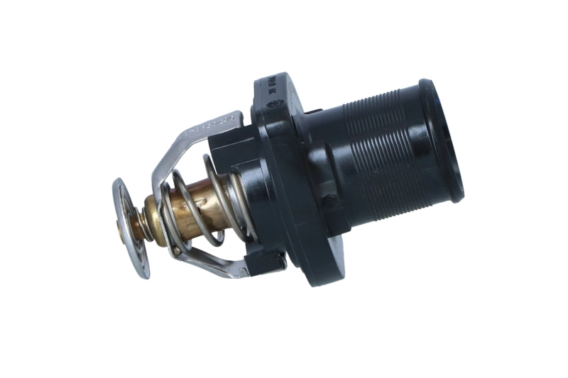 Termostato Peugeot Expert 224