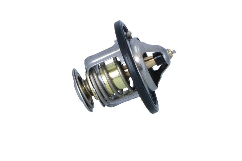 TE0060 Magneti Marelli Авто термостат
