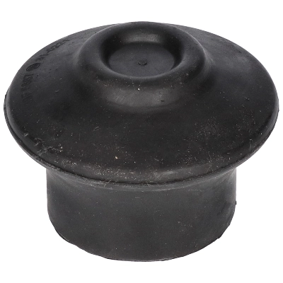 Coxim (suporte) dianteiro de motor Audi A6 4BH