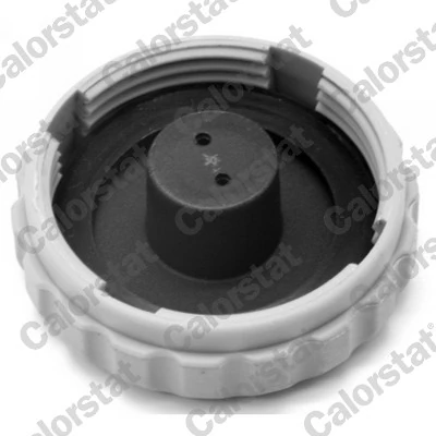 Tanque de expansão do sistema de esfriamento Opel Corsa 73, 78, 79