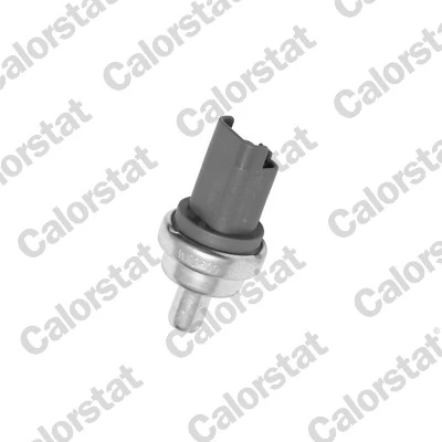 Sensor de temperatura del refrigerante WS2609 Vernet