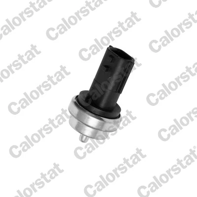 Sensor de temperatura do fluido de esfriamento Nissan Qashqai 2 J11