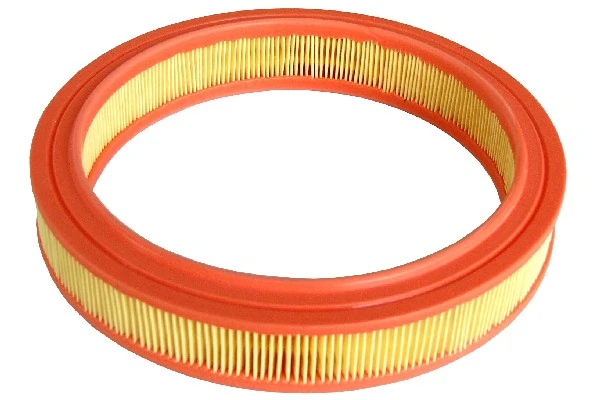 Filtro de ar Ford Escort AVL