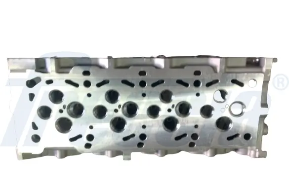 Cabeça de motor (CBC) Hyundai Tucson 1 JM