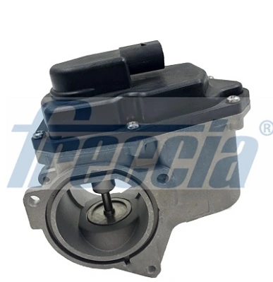 Válvula EGR de recirculação dos gases Audi A6 C6 4F2
