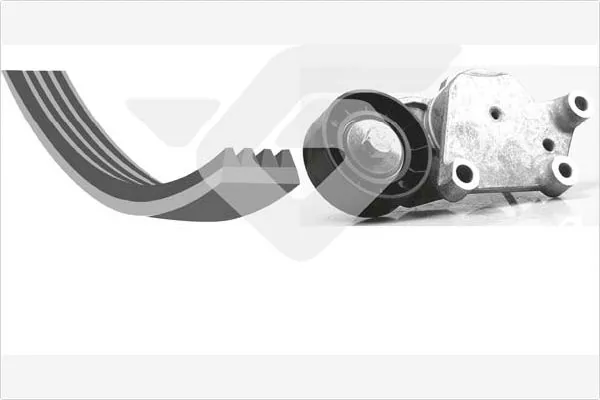 1613444680 Peugeot/Citroen Ремень приводной, комплект