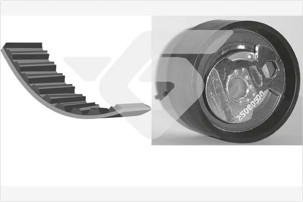 Correia do mecanismo de distribuição de gás, kit Ford Transit 4 E