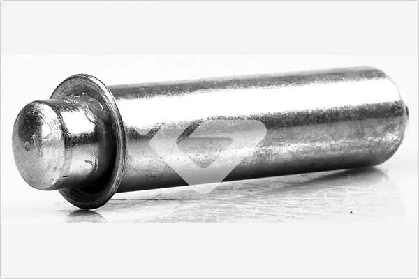 Reguladora de tensão da correia do mecanismo de distribuição de gás Citroen Jumper 244