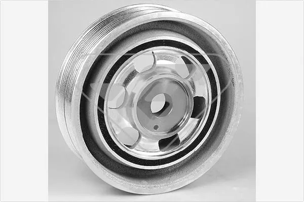 Polia de cambota Iveco Daily 4