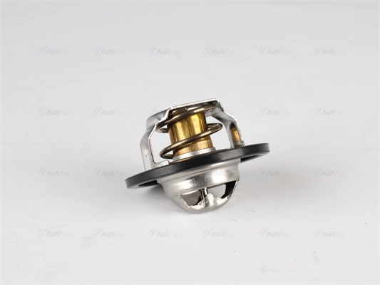 Termostato Renault DOKKER