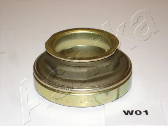 900W001 Ashika