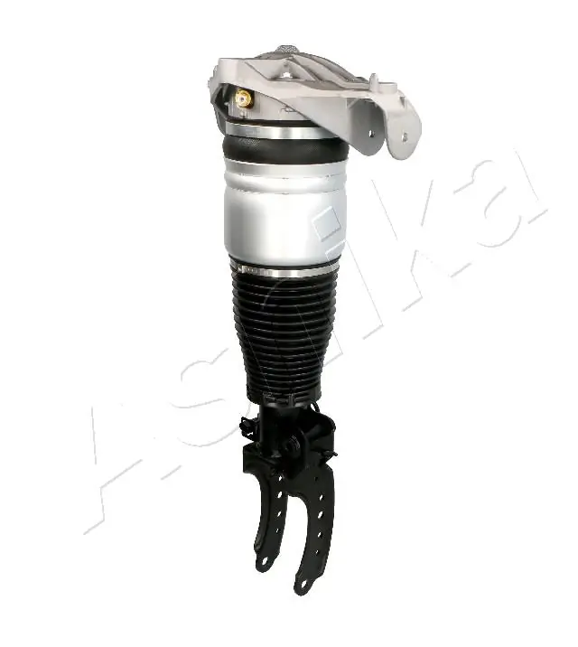 Амортизатор подвески передний левый Ashika MAAS013 цена, от 546.45 USD