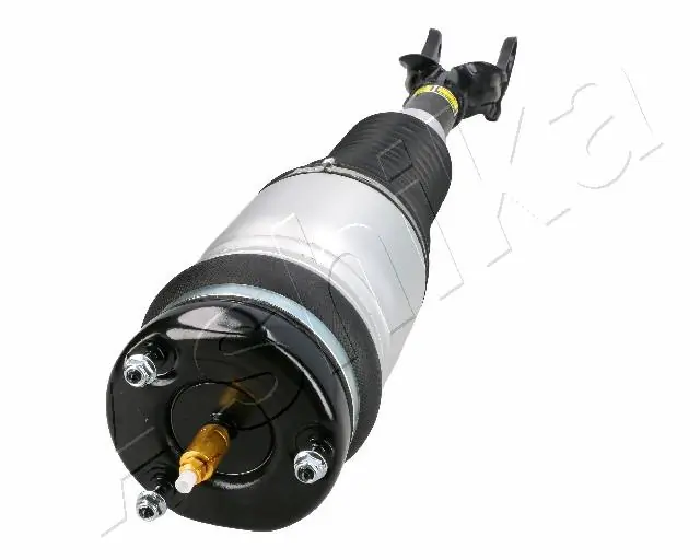 Амортизатор подвески передний левый Ashika MAAS102 цена, от 597.88 USD