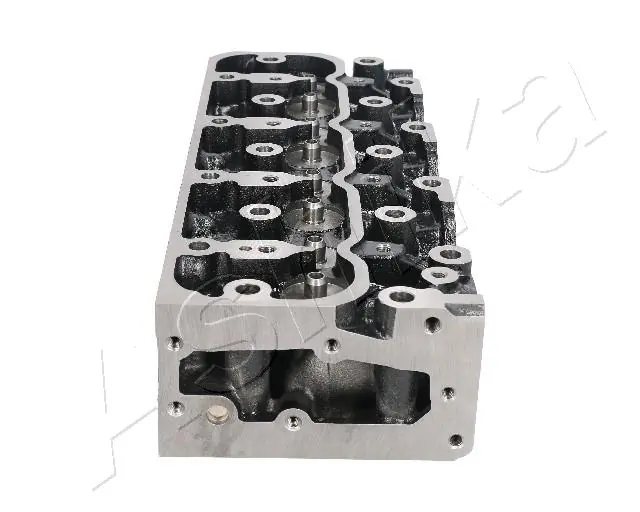Головка двигателя Ashika IS006S цена, от 531.16 USD