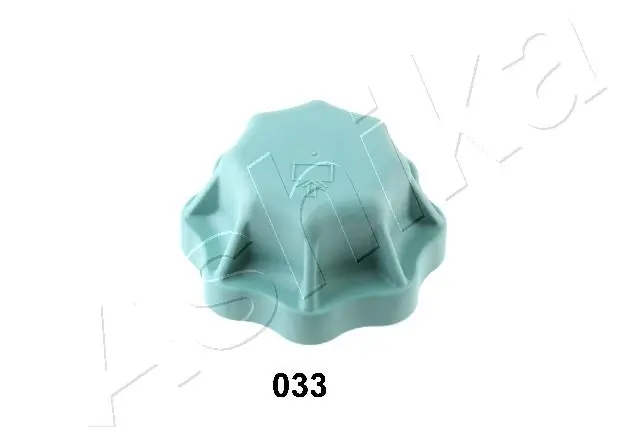 Tampa (tampão) do tanque de expansão MAN TGX 1