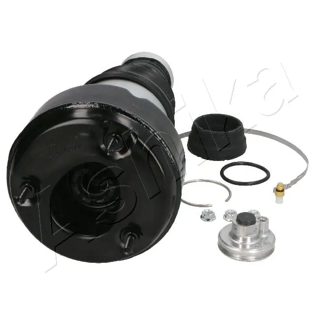 Пневмоподушка/пневморессора моста заднего Ashika MAAS068 цена, от 325.43 USD