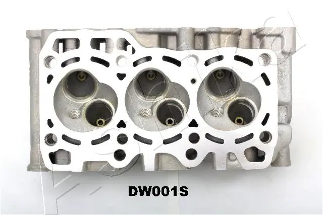 Головка Ashika DW001S