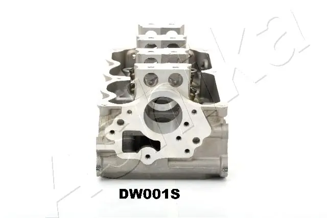 DW001S Ashika Головка блока цилиндров