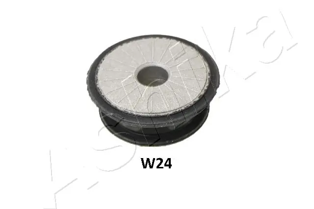GOMW24 Ashika