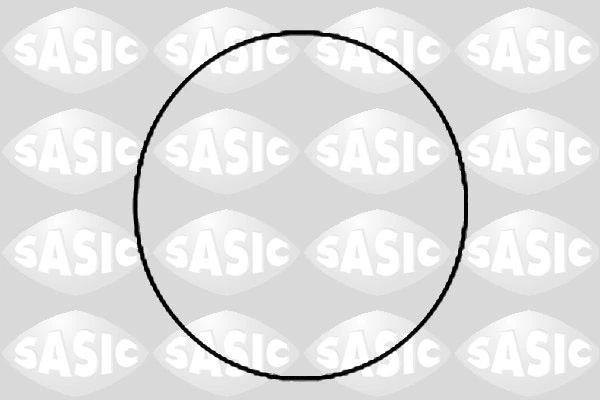 1120780 Sasic