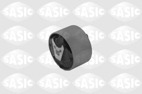 2700025 Sasic