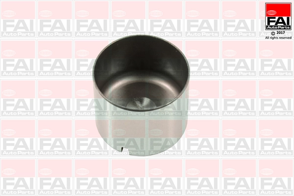 BFS100S FAI