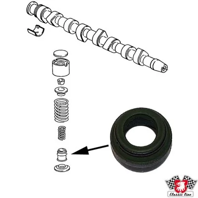 Bucim de válvula (coletor de óleo), admissão/escape Seat Ibiza II 6K1