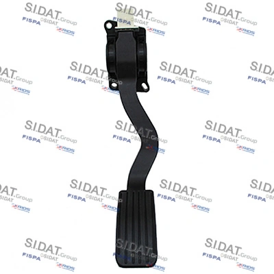 842203 Sidat