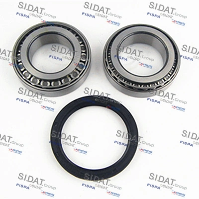460193 Sidat