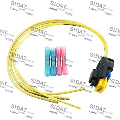 405118 Sidat