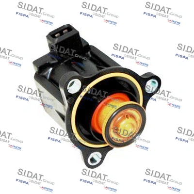 81183 Sidat
