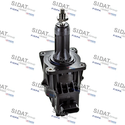 481043 Sidat
