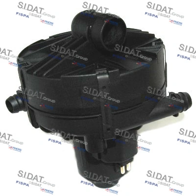 81319 Sidat